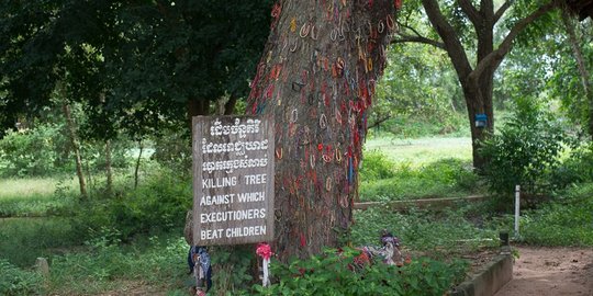 Pohon maut ini sempat jadi saksi bisu kebrutalan rezim Khmer Merah
