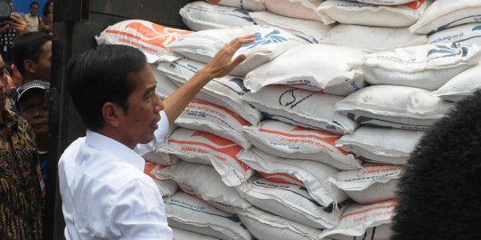 Pemerintah tunjuk BUMN bantu Bulog distribusikan komoditi pangan