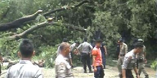 Pohon asam dekat taman Sri Baduga menimpa pagar dan kabel listrik