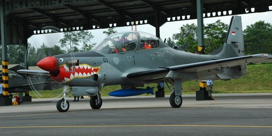 Super Tucano jatuh, 3 kru tewas dan seorang ibu kritis tertimpa