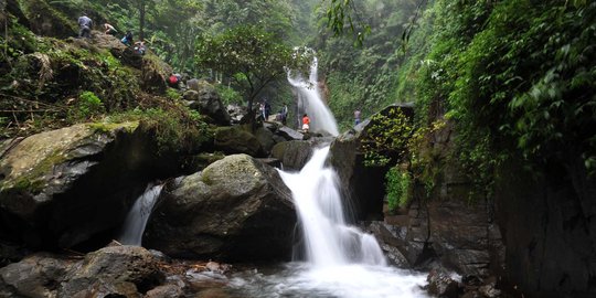 Batas Tak Jelas Jual Beli Lahan Di Taman Nasional Kutai Makin Marak Merdeka Com