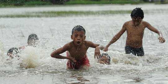 Terendam banjir 3 hari, puluhan hektar padi di Sukoharjo gagal panen