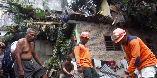 7 Rumah rusak ditimpa pohon tumbang, 3 warga luka