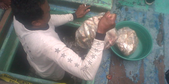 Khawatir membusuk, 11 ton ikan dicuri nelayan Brebes akan dilelang