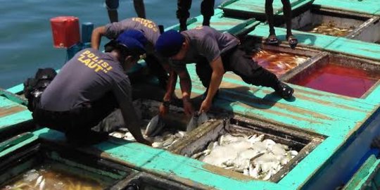 15 Ton ikan berformalin diamankan di perairan Makassar