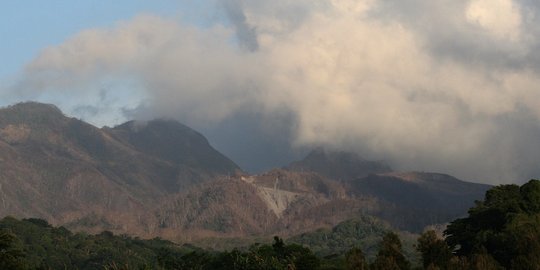 Selamatkan mata air, bibit bambu ditanam di Lereng Kelud & Wilis