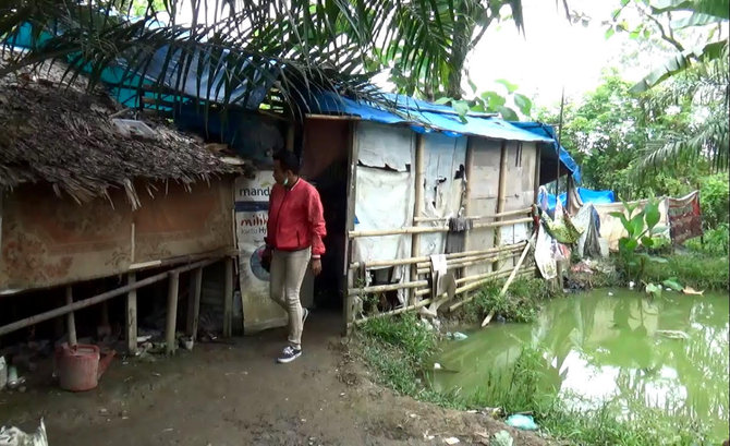 janda tinggal di samping kandang kambing