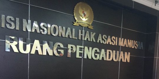 Komnas HAM: Hukuman kebiri pelaku paedofil tak selesaikan masalah