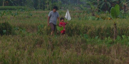 Produsen beras ini kembangkan sistem irigasi mikro unik di Palembang