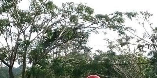 terbalik rev1