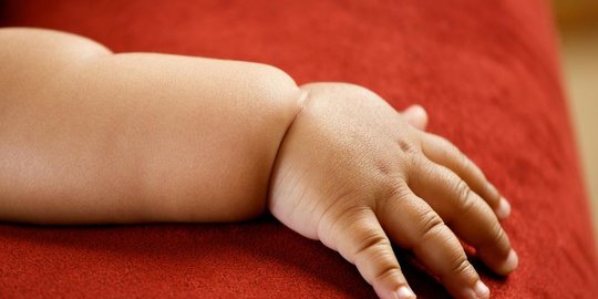 sampah bayi baru lahir dimakan semut di india rev1