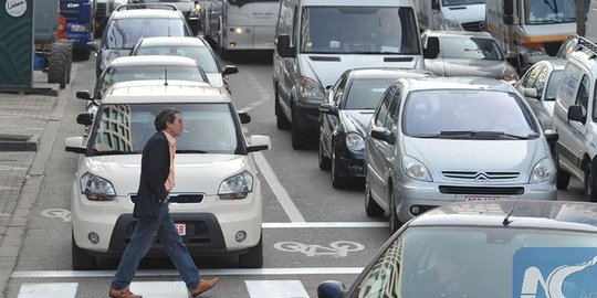 Tikus lapar di Brussel bikin macet, rugikan negara Rp 15 triliun