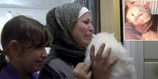 Kisah haru pengungsi Irak di Eropa bertemu lagi kucing peliharaan