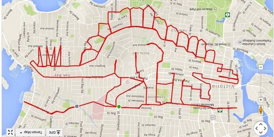 Niat, pria ini bikin gambar raksasa dengan modal GPS dan sepeda