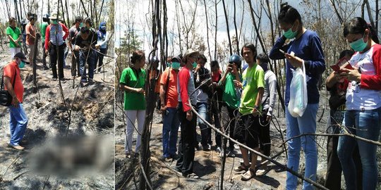 Pembakar lahan tewaskan 3 orangutan tewas di Kaltim diburu