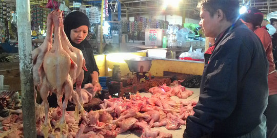 Pengamat sebut Indonesia terbelenggu kasus impor ayam dengan AS