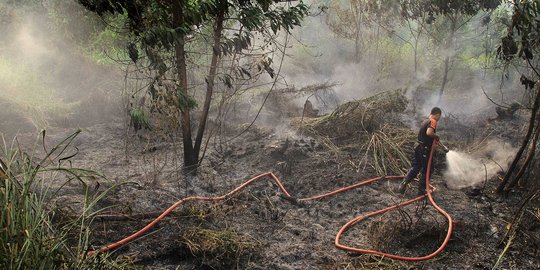 Beragam komentar untuk lembaga BRG buatan Presiden Jokowi