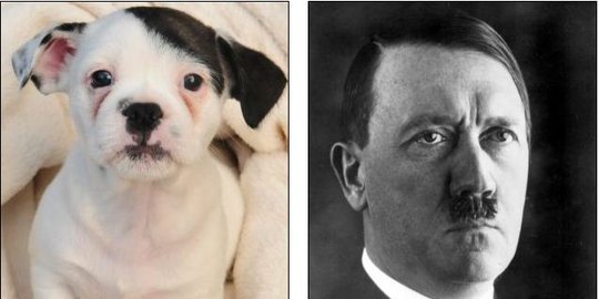 ini mirip hitler rev1