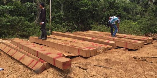 Polair Kepri gagalkan penyelundupan 13 ton kayu ilegal