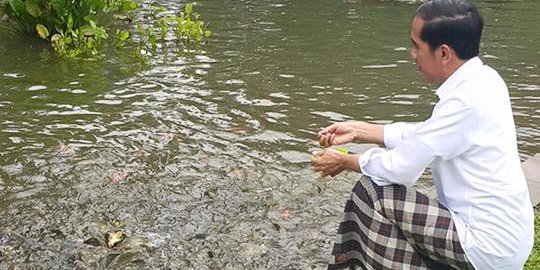 Hibur diri Jokowi beri makan ikan  di sungai  Kebun Raya 