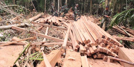 Sedang patroli, Pol Air Riau tangkap basah praktik illegal logging