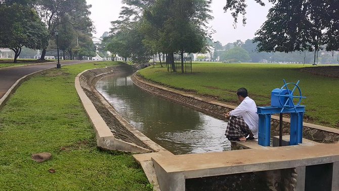 jokowi beri makan ikan