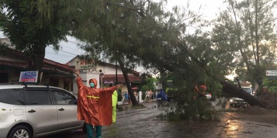 Hujan deras, pohon tumbang dan jalan alternatif Solo-Yogya macet