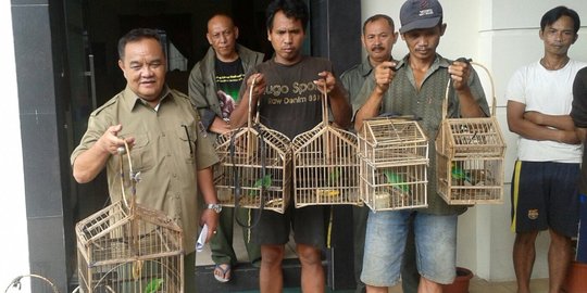 Pemburu burung tersesat dan kelaparan di tengah hutan