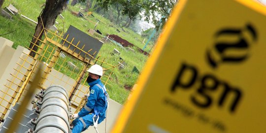 Bangun infrastruktur gas, ESDM dorong konsolidasi PGN dan Pertagas