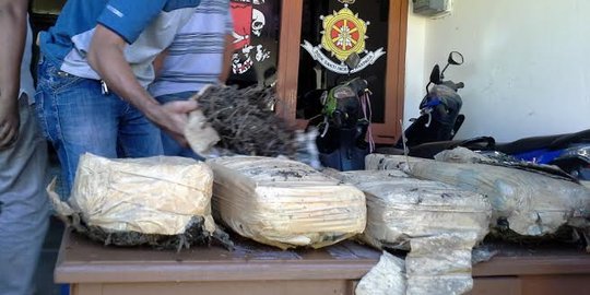 Polisi Palembang temukan 30 kg ganja tak bertuan di dalam selokan