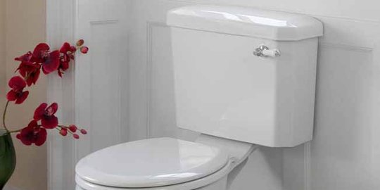 kursi toilet