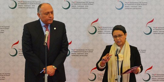 Mesir dukung penuh kemerdekaan Palestina di KTT LB OKI
