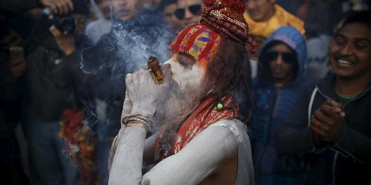 Festival hindu ini gunakan ganja sebagai ritual persembahan