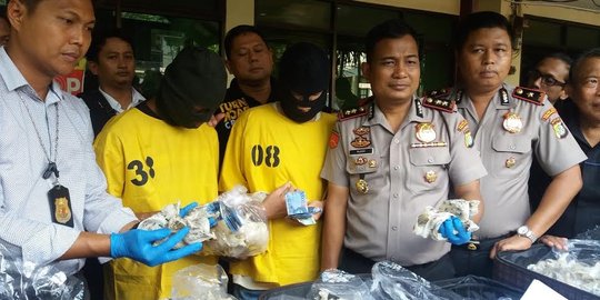 Curi belasan kilo sarang walet majikan, AL dan AS dibekuk polisi