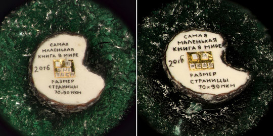 Seniman Rusia bikin buku termini di dunia, cuma sebesar biji bunga