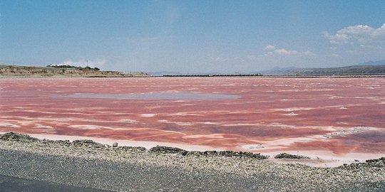 Magadi, keunikan danau soda berwarna pink di Kenya