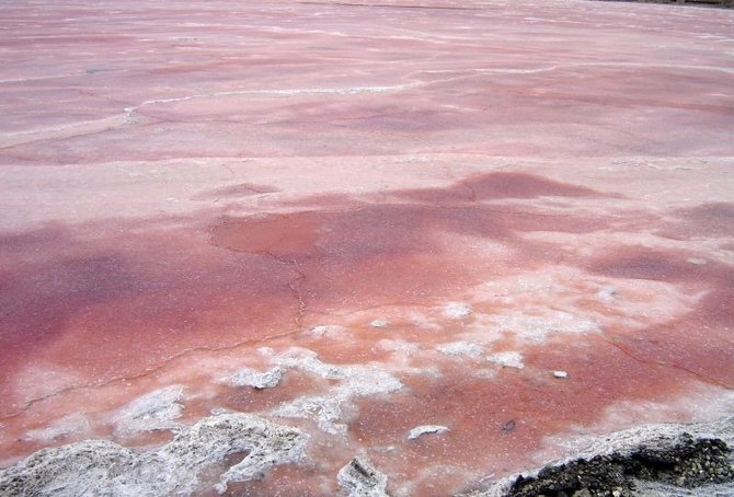 danau magadi