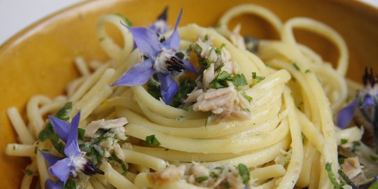 7 Bunga cantik ini bisa bikin masakanmu lebih lezat dan berwarna