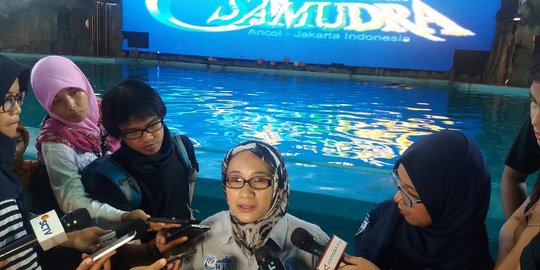 Ini reaksi lumba-lumba saat gerhana matahari terjadi