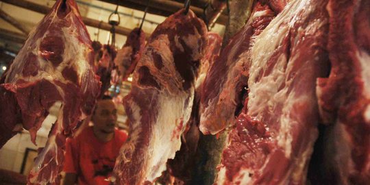 Pemerintah bantah impor sapi langkah frustasi turunkan harga