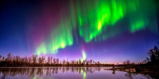 Keindahan aurora, fenomena alam di daerah kutub bumi