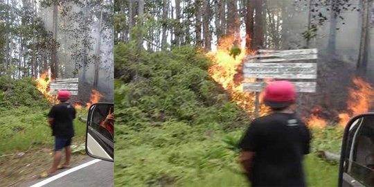 2 Hektare taman hutan raya bukit Soeharto di Kaltim terbakar