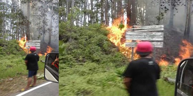 2 Hektare Taman Hutan Raya Bukit Soeharto Di Kaltim Terbakar