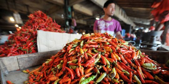 Harga cabai melonjak hingga Rp 60.000, ini penjelasan Kementan