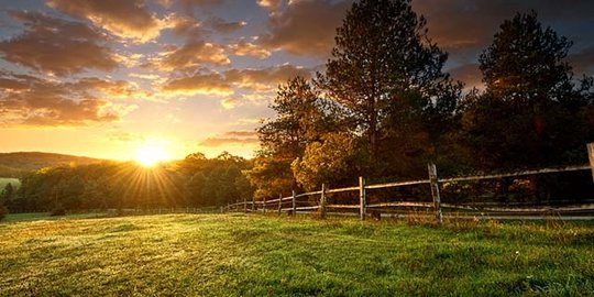 4 teori yang bisa kita 'curi' untuk fotografi smartphone