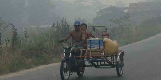 Cegah kebakaran hutan, Menteri Siti rakor soal restorasi gambut