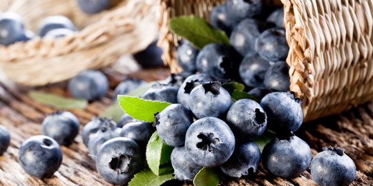 Blueberry, buah imut yang bantu mencegah kepikunan