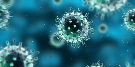 Inilah 6 Tahap replikasi virus dengan siklus lisogenik