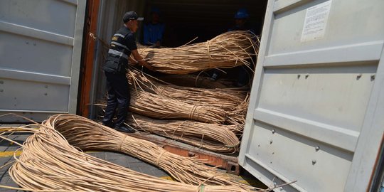 Punya potensi besar, produk rotan RI kurang perhatian pemerintah