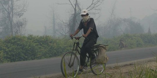 Cegah kebakaran hutan, pemerintah harus gandeng pengusaha sawit